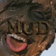 MUD feat 4997 Single