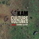 Culture Vultures Single feat Dame Dash Single
