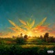 Opal Sunrise feat Common Sense Apollo Single
