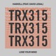 Lose Your Mind feat David LeSal Single