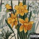 Hermit Single