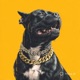 Big Dog Single