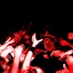 Moshpit Single