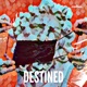 Destined Single