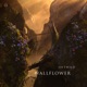 Wallflower EP feat Rouxx Single