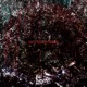 Hopelessness Single
