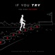 If You Try You Risk Failure Single