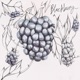 Blackberry Single