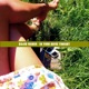 In Your Arms Tonight Single