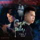 Goá Phụ Đại Mèo Remix Single