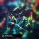 Butterfly Effect Single