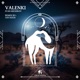 Valenki SavaSun Remix Single