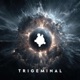 Trigeminal Single