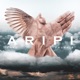 Aripi feat Phunk B Single