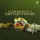 Can t Let You Go Single