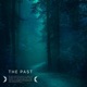 The Past Single