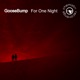 For One Night Single