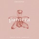 Pantera Acústica feat Andrés Mata Cayiao Omar K11 Single