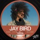 Tinted Records Jay Bird s Disco Flight DJ Mix