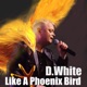 Like a Phoenix Bird Single
