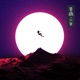 Fly Away Single