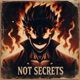 Not Secrets Single
