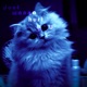 dont wanna hurt you EP