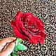 Rose Single