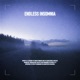 ENDLESS INSOMNIA Single