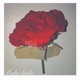 Babebabe Single