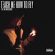 Teach Me How To Fly feat Mr Memeologist Single