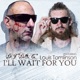 I ll Wait for You feat Louis Tomlinson Single