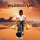Wleesayma feat Cic Single