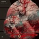 Reborned Melodie Single