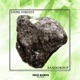 Stone Forests Single