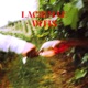 Lacrimae Vitis Single