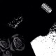 Blackroses feat SHOGUN Single