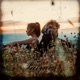 Fuìmos feat elle Single