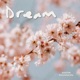 Dream Single