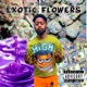 Exotic Flowers Single