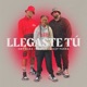 Llegaste Tú Single