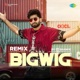Bigwig by DJ Shawie Single