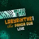 Labyrinthe Remix Live feat Panda Dub Single