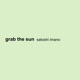 Grab the Sun EP