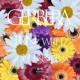 Gerbera feat Shurkn Pap Single