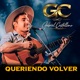 Queriendo volver Single