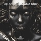 Nomadic Soul Single