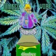 Vibe Single