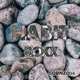 Roxx Single
