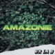 Amazonie Single